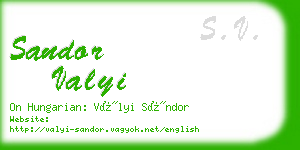 sandor valyi business card